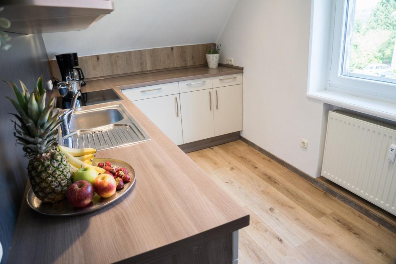 Urlaubsfreude Biedermann Haus Gluecksstein - Mondstein Apartman Bad Schandau Kültér fotó